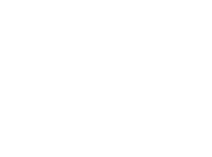 your freedom empire logo